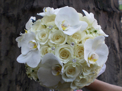 Hoa cầm tay cô dâu đẹp