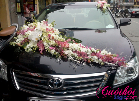 Hoa cô dâu và xe hoa