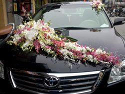 Hoa cô dâu và xe hoa